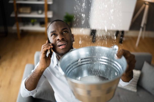 Best Water damage cleanup near me  in Hughesville, PA