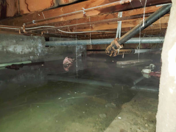 Best 24-hour water damage restoration  in Hughesville, PA