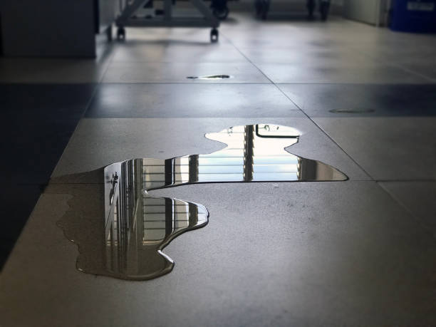 Best Professional water damage repair  in Hughesville, PA