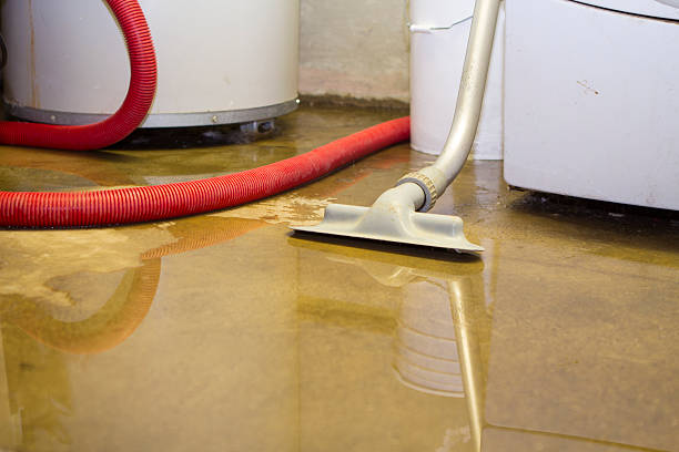 Best Water damage restoration process  in Hughesville, PA
