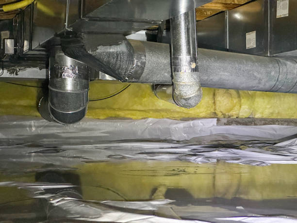 Best Water damage restoration near me  in Hughesville, PA
