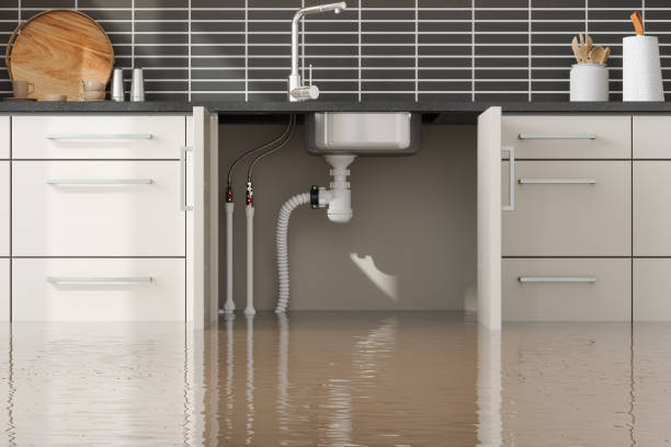 Best Basement water damage restoration  in Hughesville, PA