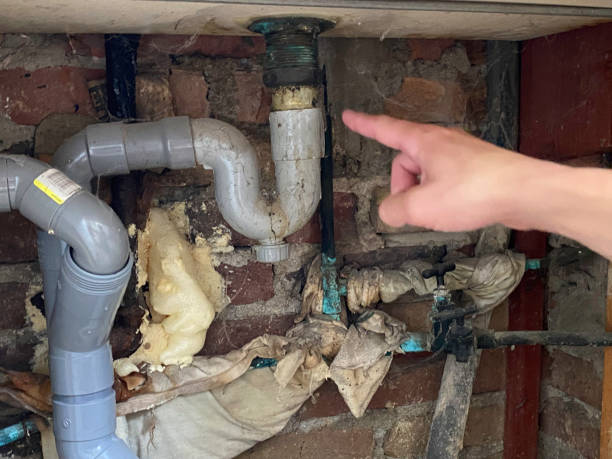 Best Water damage restoration near me  in Hughesville, PA