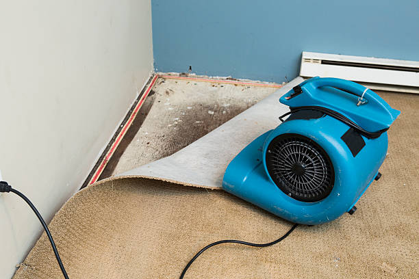 Best Sewage cleanup and water damage restoration  in Hughesville, PA